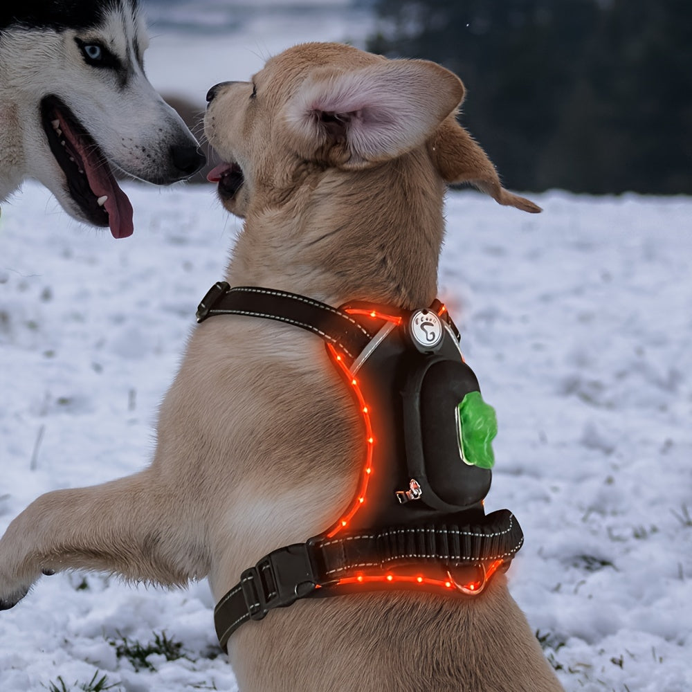 Led Dog Harness