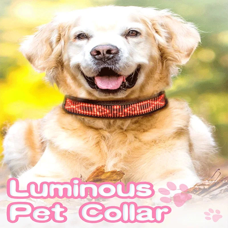 Bluetooth- Luminous LED Pet Collar Waterproof L-