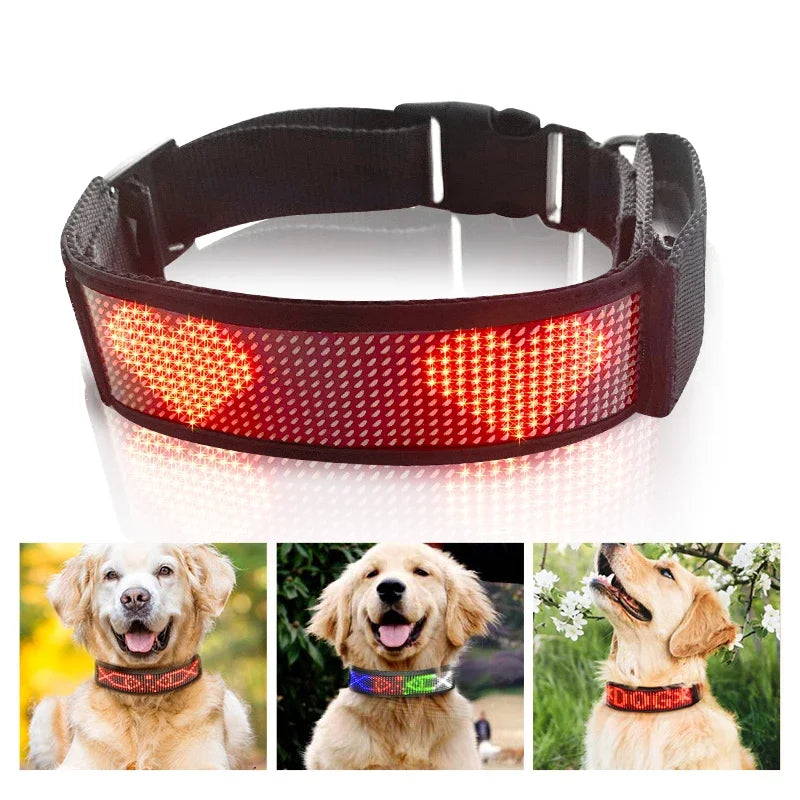 Bluetooth- Luminous LED Pet Collar Waterproof L-