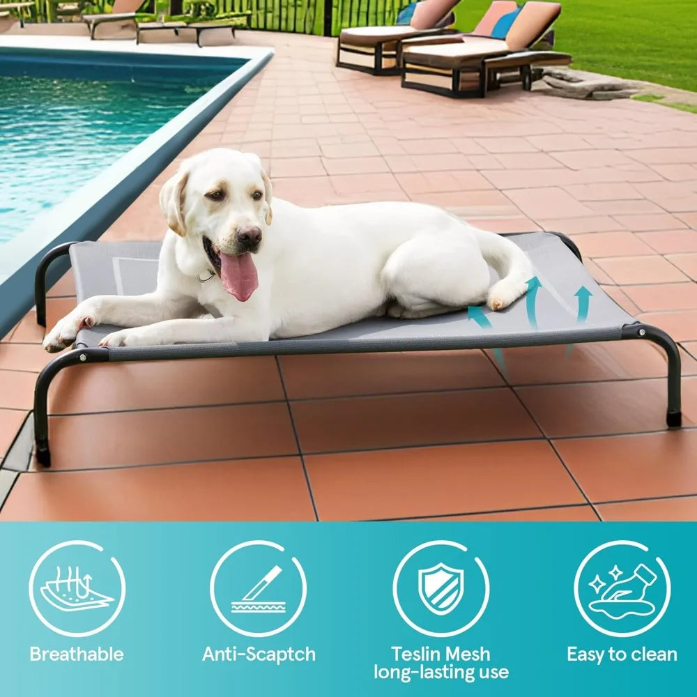 Elevated Dog Bed with Bolster