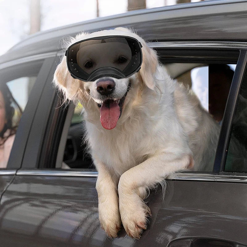 Wide View Dog Goggles