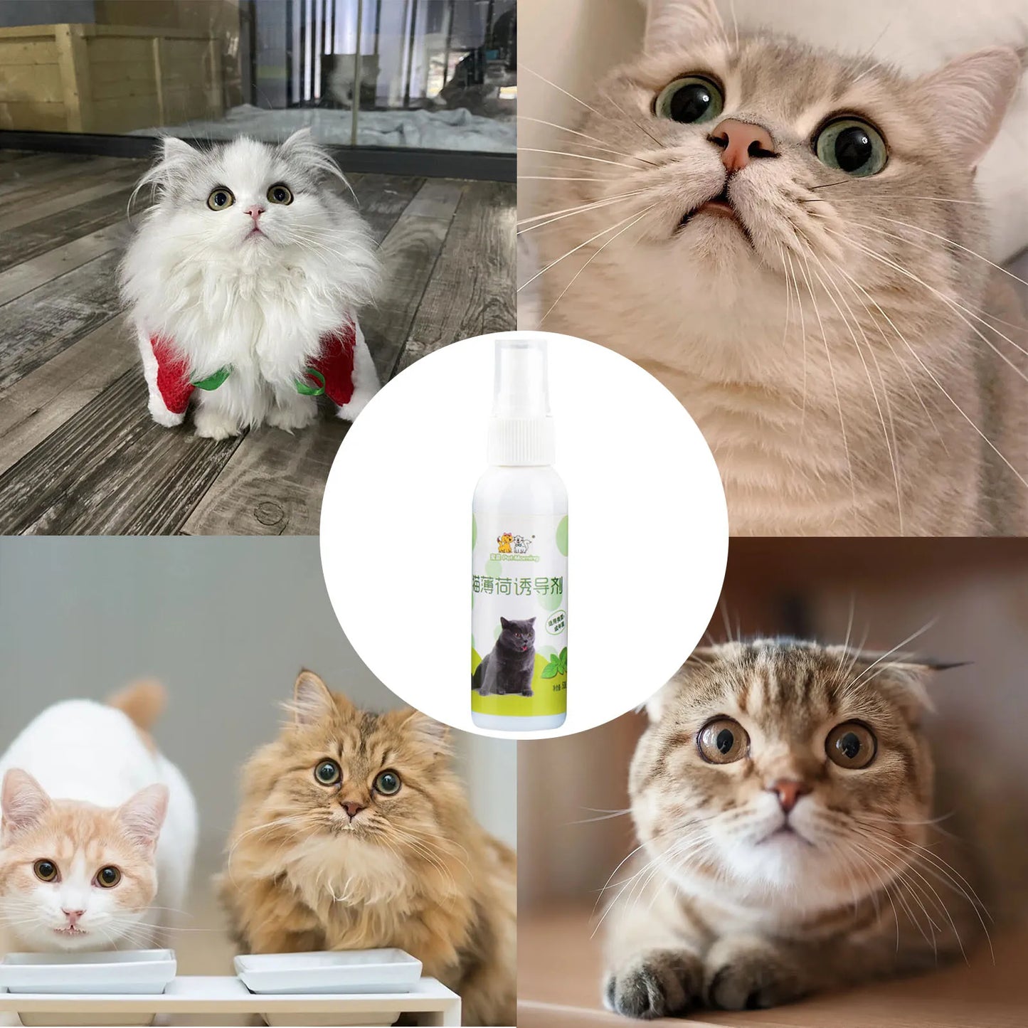 Catnip Spray For Cats