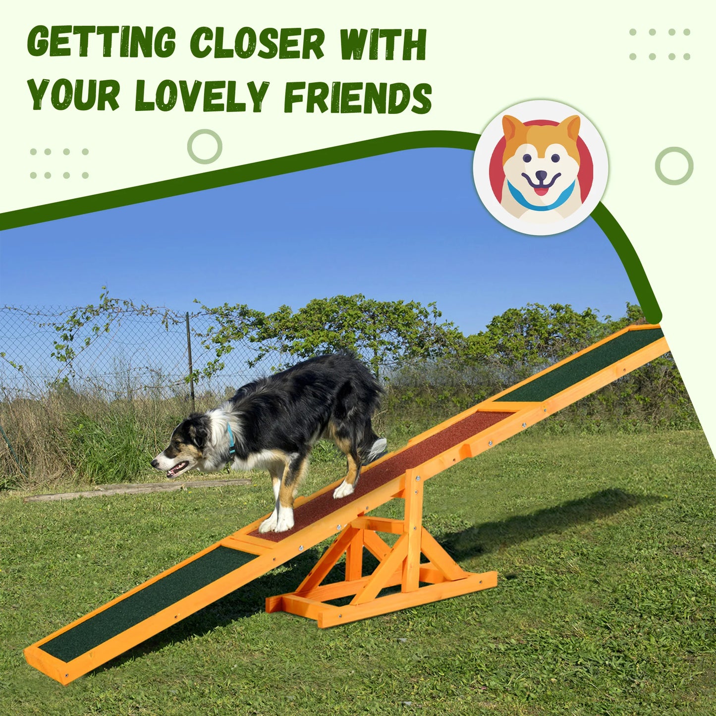 Agility Seesaw for Training and Exercise