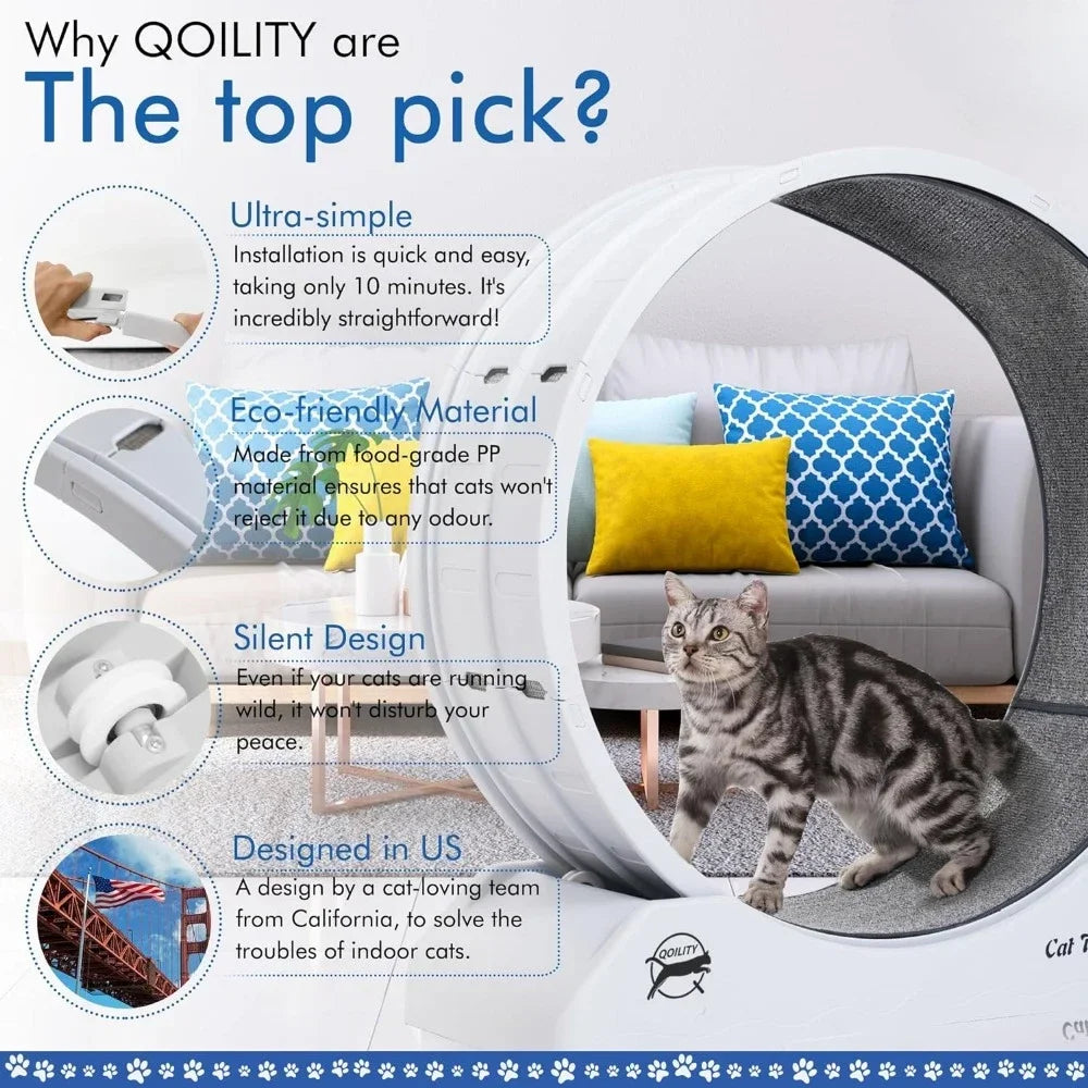 Cat Wheel Exerciser