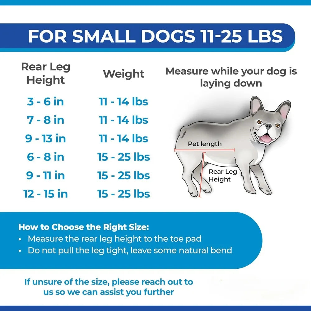 Small Dog Wheelchair