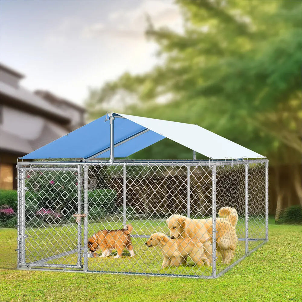 Outdoor Dog Kennel w/ Metal Dog Gate