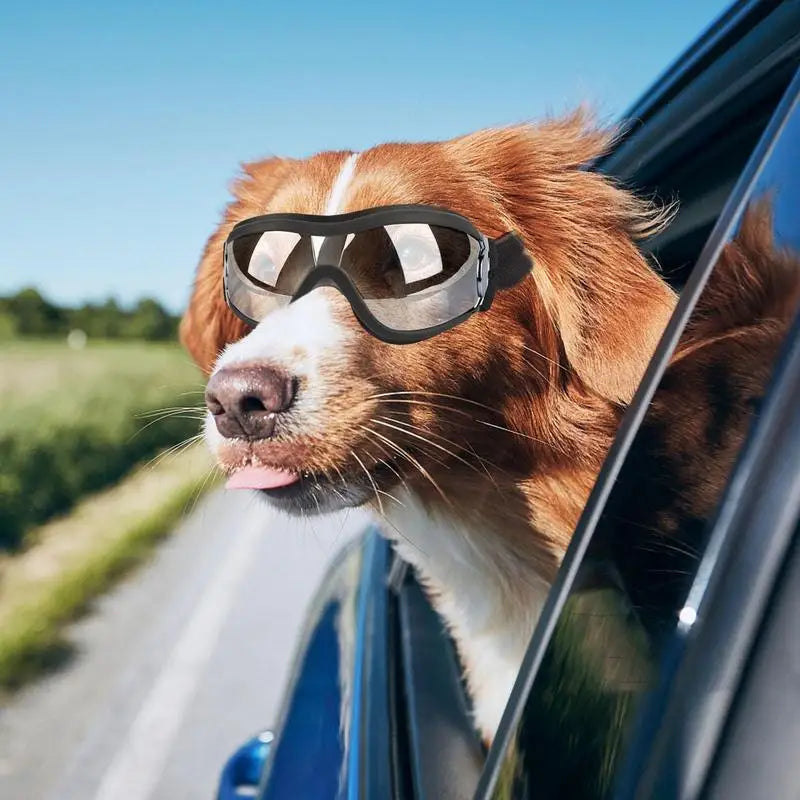 Pet Head Gear With Goggles