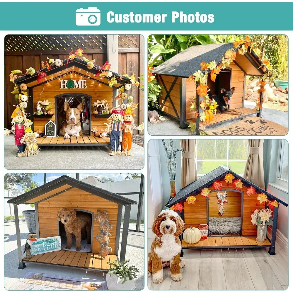 Outdoor Dog House