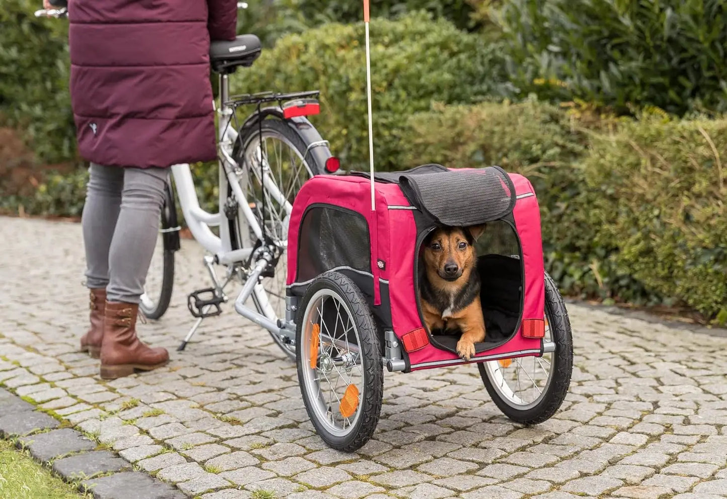 Bike Trailer and Pet Stroller for Small to Medium Dogs up to 48 lbs