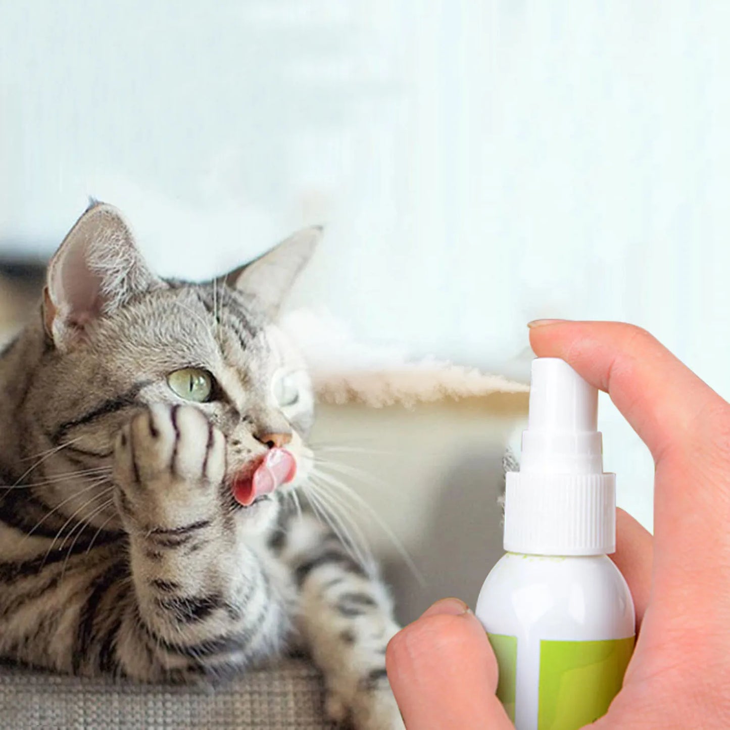 Catnip Spray For Cats