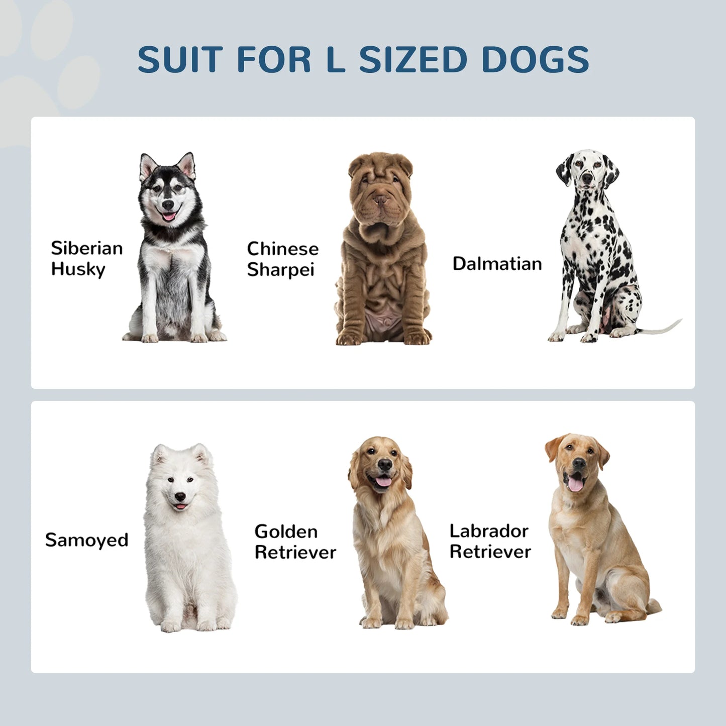 Large Elevated Dog Bowls with Storage