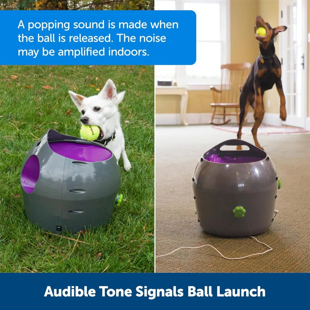 Automatic Ball Launcher-Tennis Balls Included - Motion Sensor