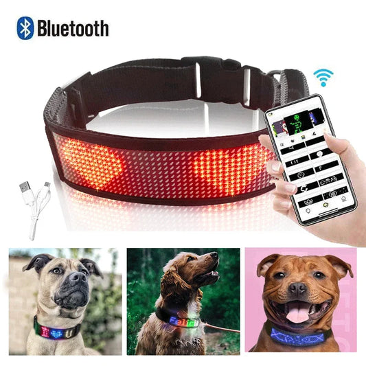 Bluetooth- Luminous LED Pet Collar Waterproof L-