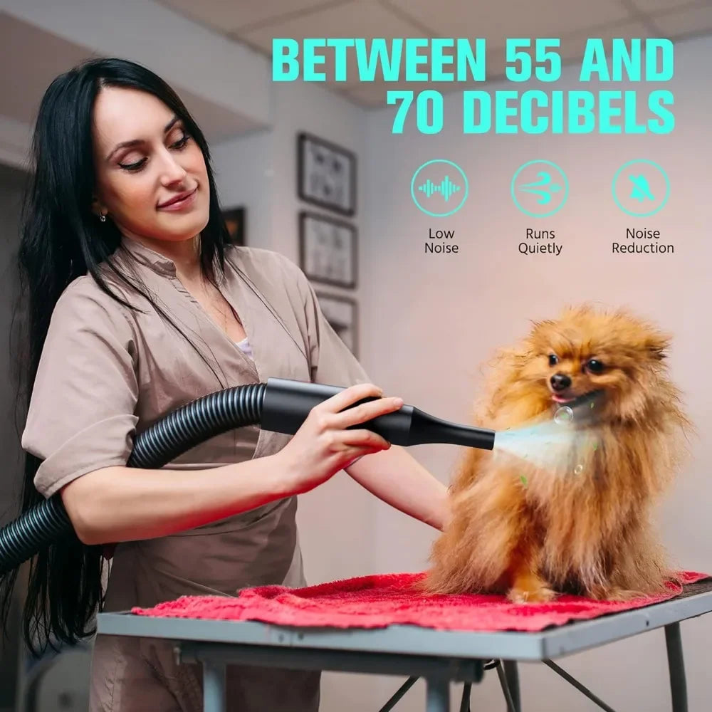 5.2HP/3800W Pet Grooming Dryer with Adjustable Speed and Temperature