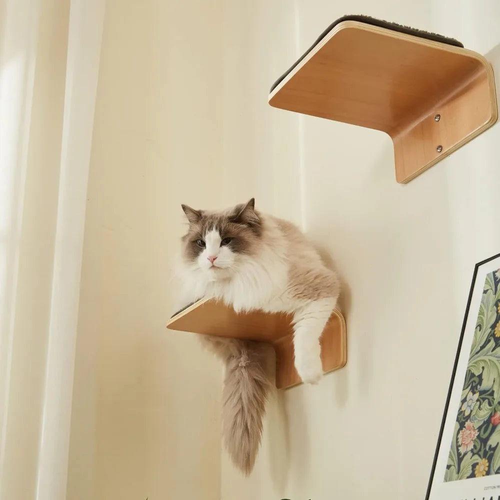 Cat Wall Shelf with Two Steps