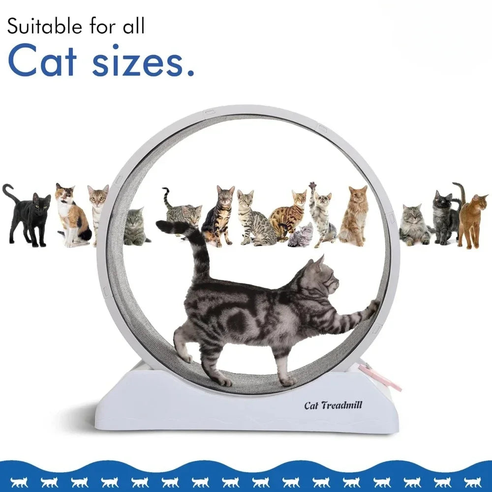 Cat Wheel Exerciser