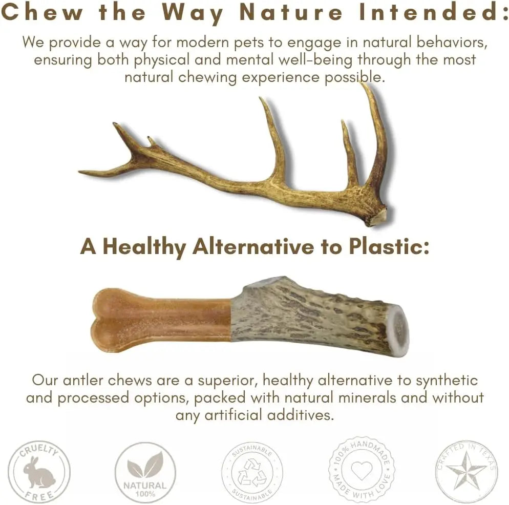 3 Pack Large Deer Antlers -Dog Chews