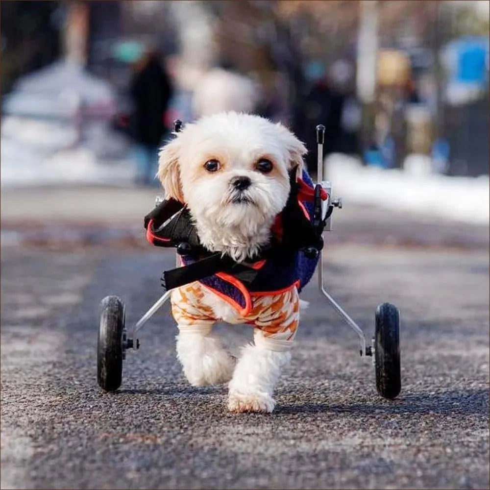 Dog Wheelchair - X-Small, Pet Strollers