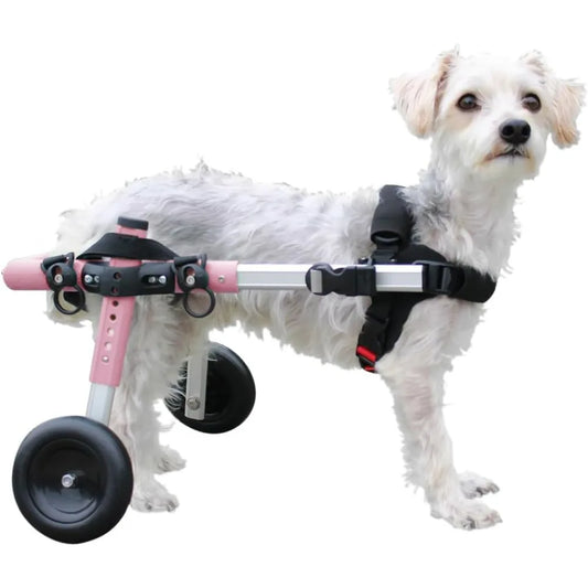 Small Dog Wheelchair