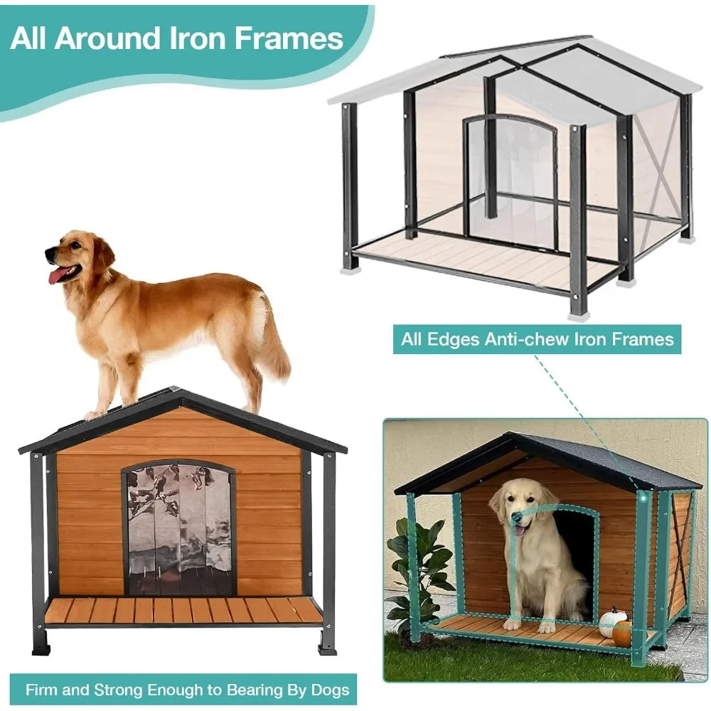 Outdoor Dog House