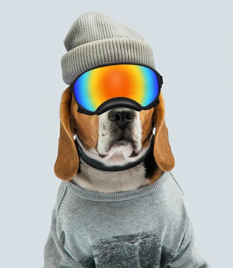 Dog Ski Goggles with UV Protection