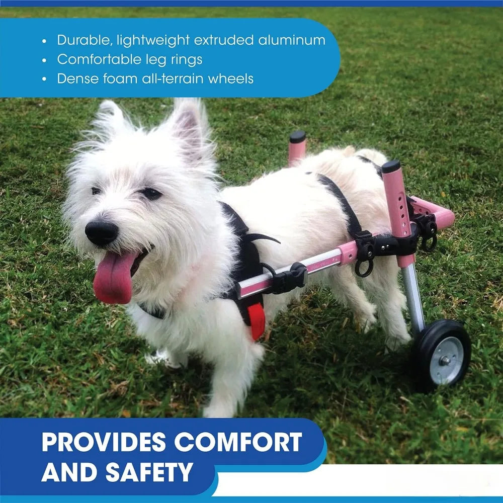 Small Dog Wheelchair