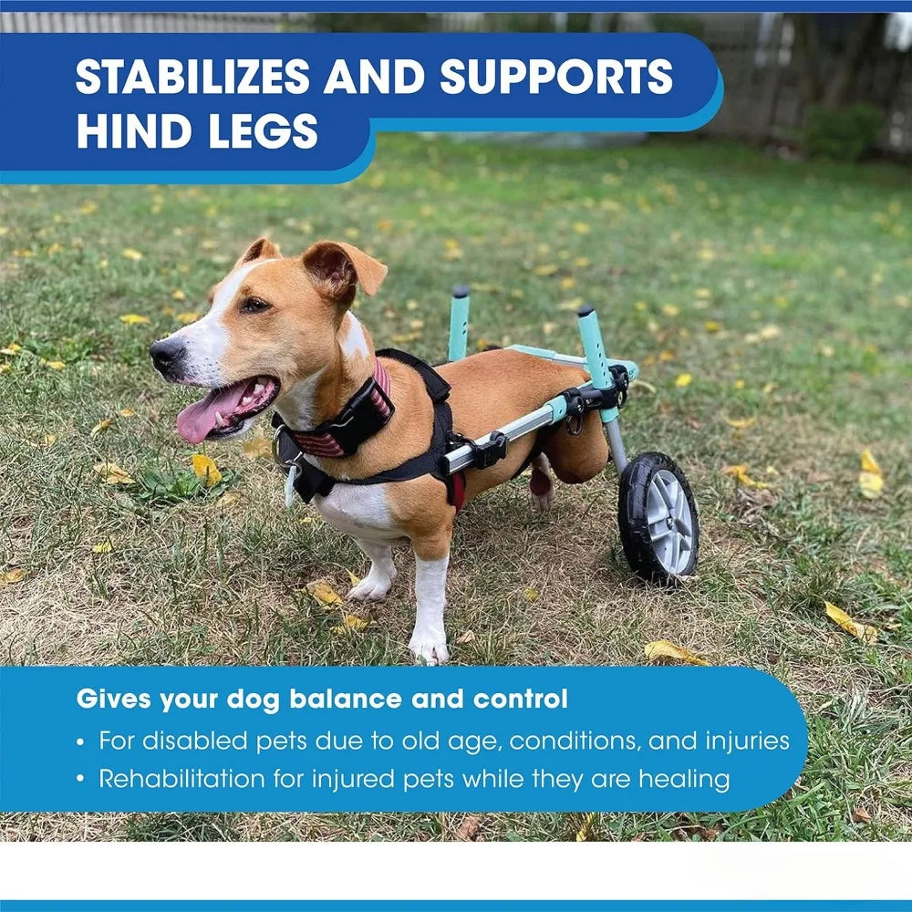 Small Dog Wheelchair