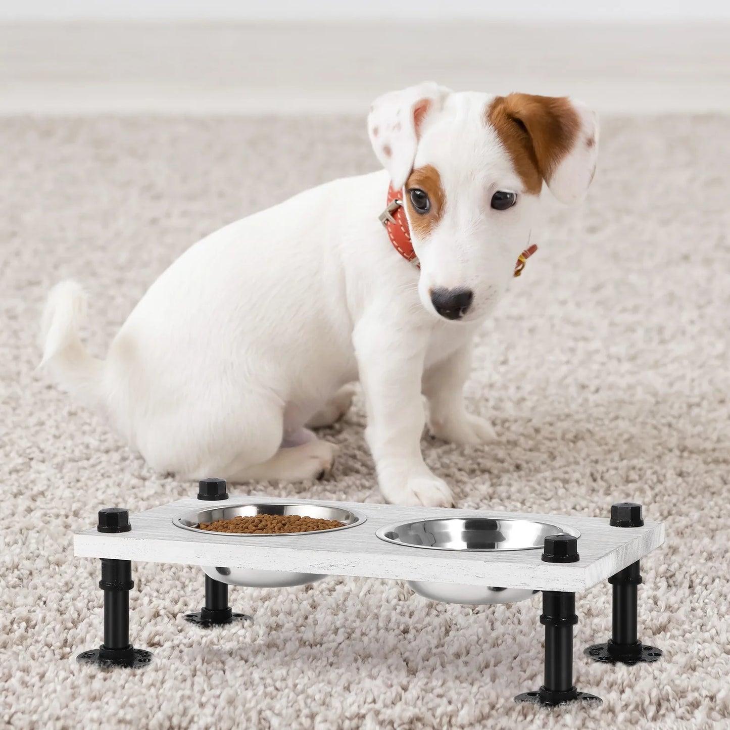 Elevated with 2 Stainless Steel Dog Bowls