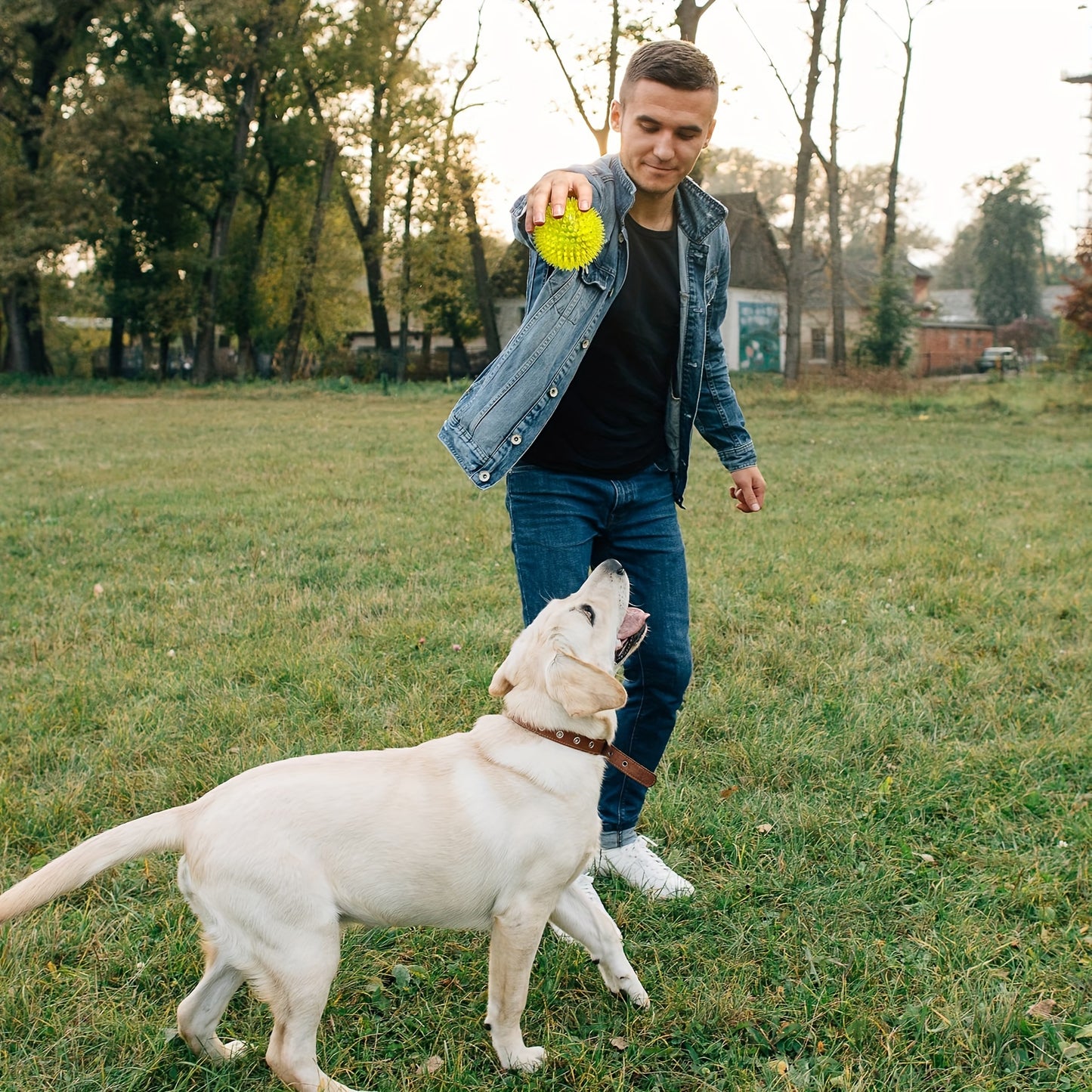 3.5'' Squeaky Dog Toy Balls (6 Colors)