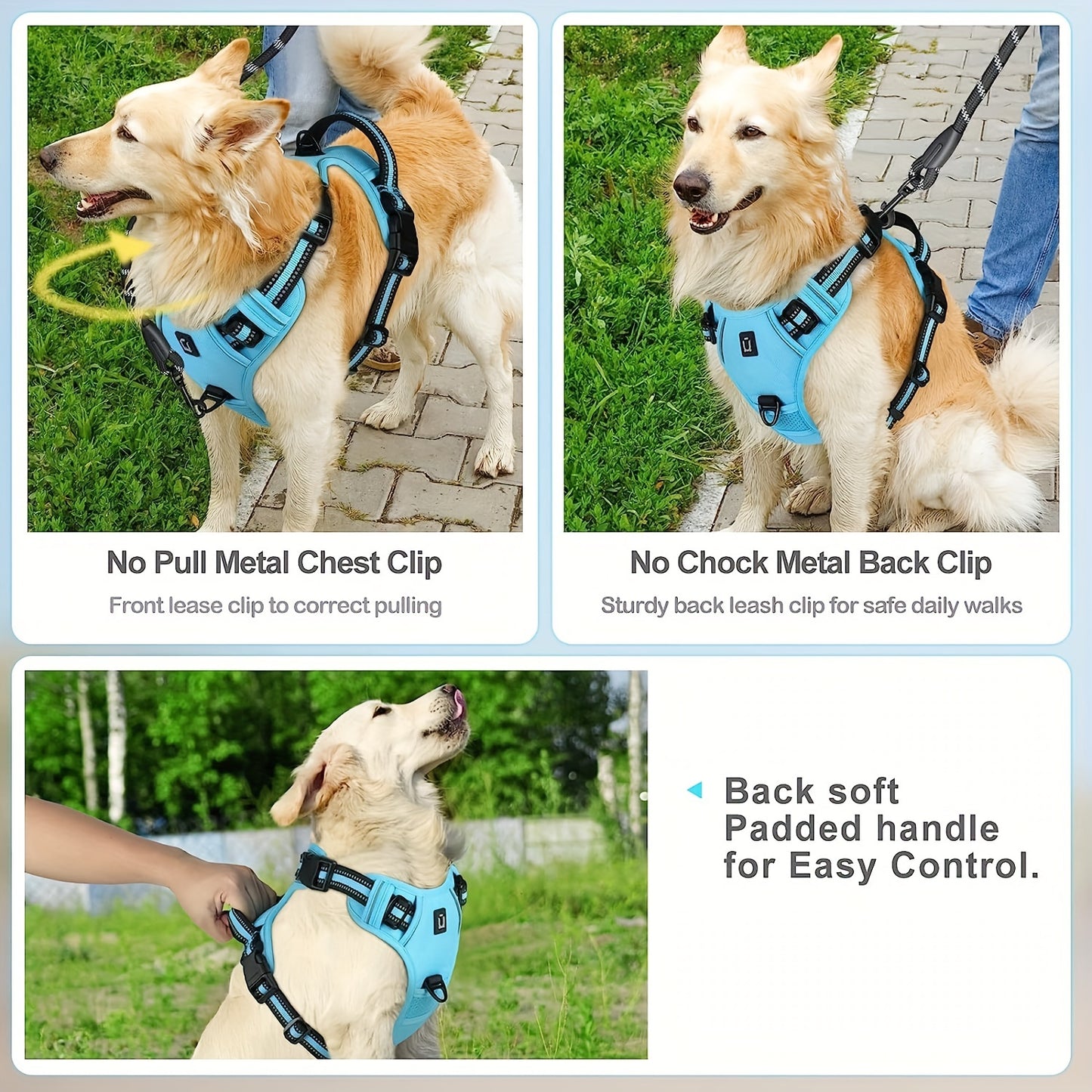 Dog Harness And Leash Combo