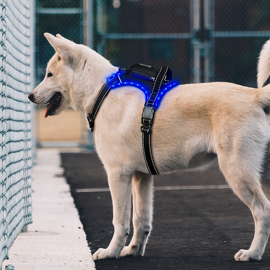 Led Dog Harness