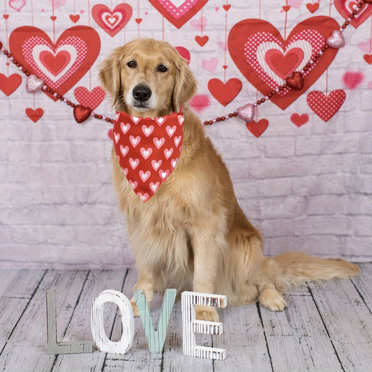 2pcs Holiday Dog Bandanas