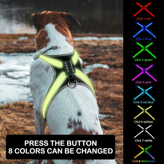 Rechargeable LED Dog Harness